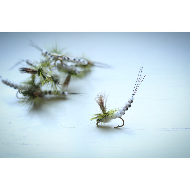 Mohican Mayfly