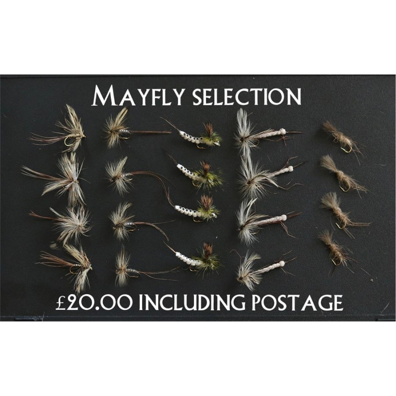 Mayfly Selection