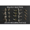 Mayfly Selection