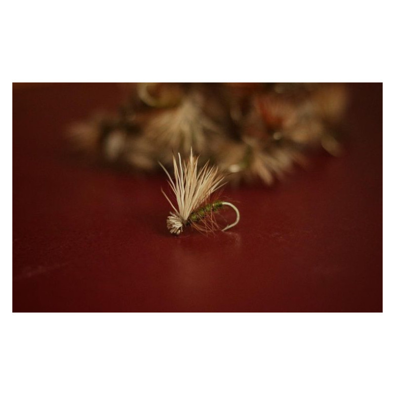 Elk Hair Sedge