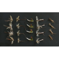 Mayfly Selection